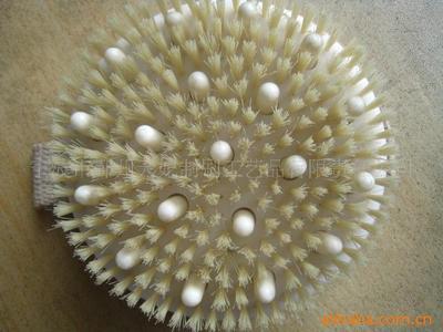【供應外貿出口天然環保浴刷(圖)】價格,廠家,圖片,工藝禮品項目合作,寧波市鄞州天妃制刷工藝品有限責任公司-